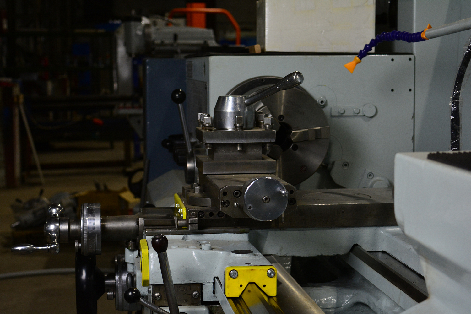 Наши новые друзья